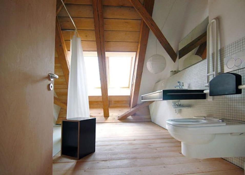 Ferienwohnung Alte Scheune Schopfheim Dış mekan fotoğraf